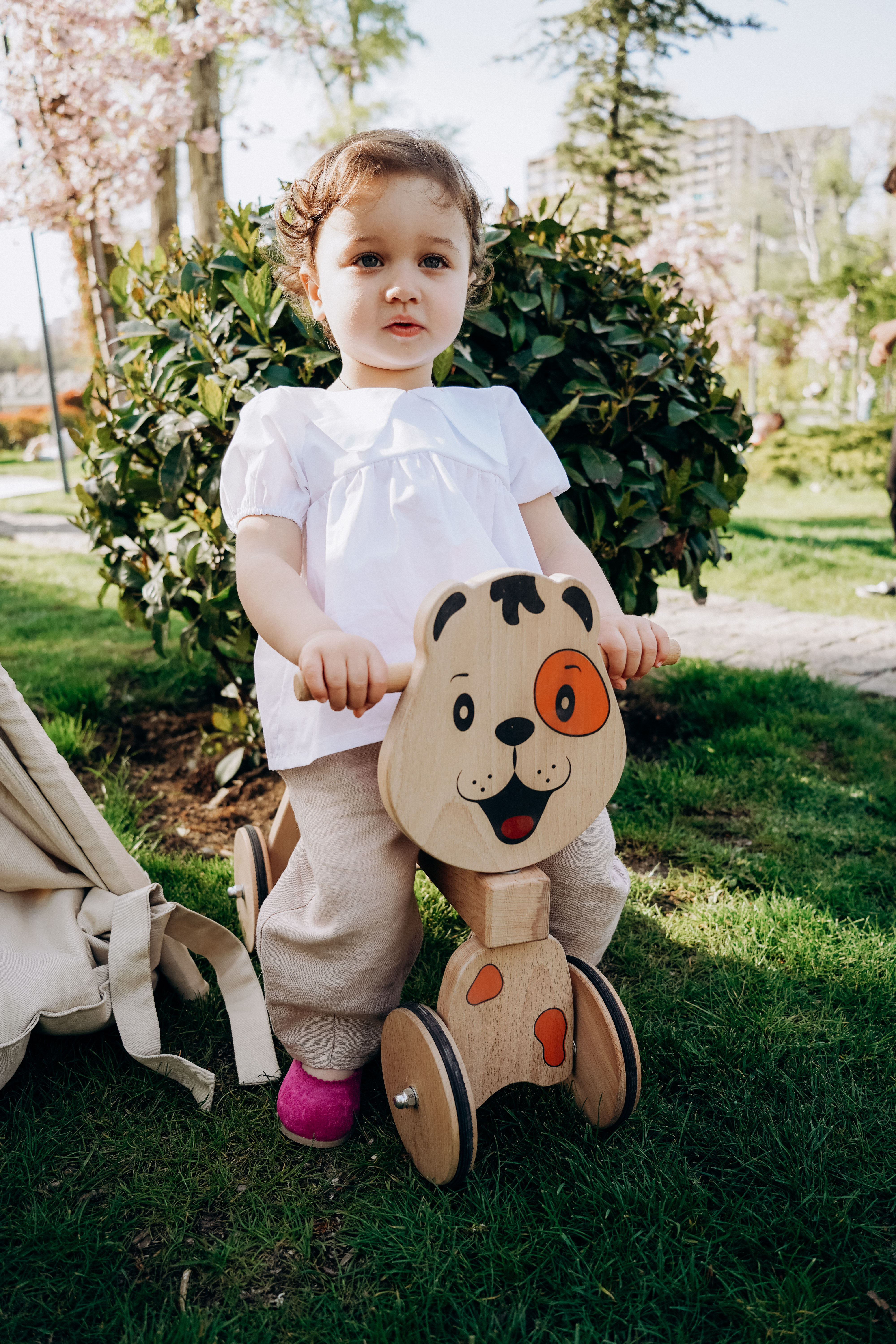 Wooden pedal-less bicycle Puppy